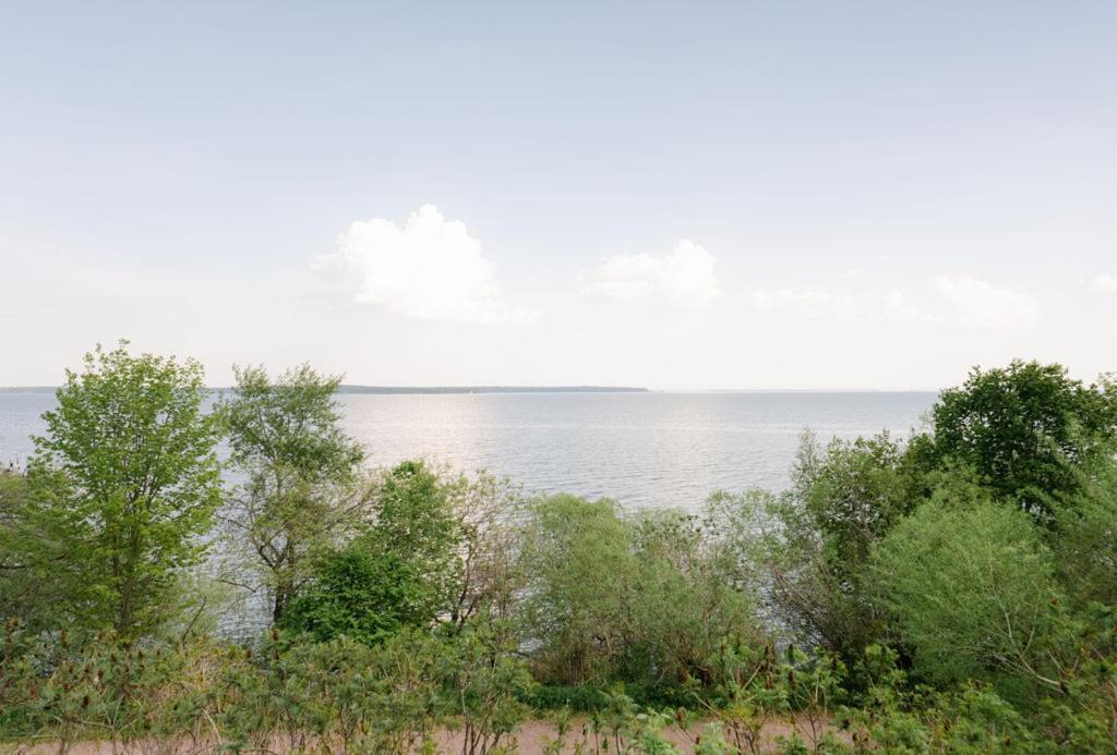 بايفيلد Seagull Bay Motel الغرفة الصورة